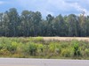 Listing Photo 5106608